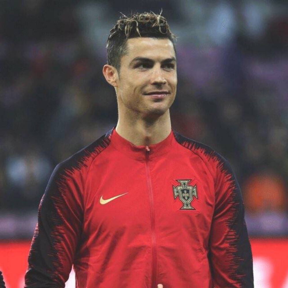 他们必须在 他们必须在