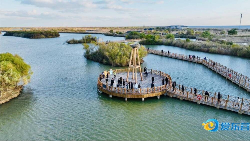 中国队不仅 中国队不仅