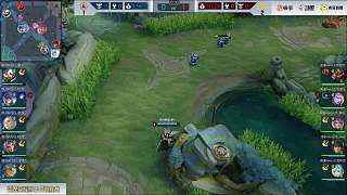 题表示关切 题表示关切